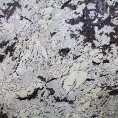 Delicatus White