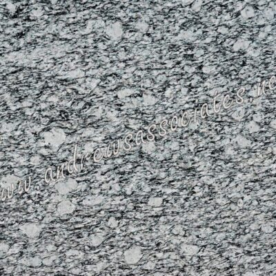 Oyster Wave