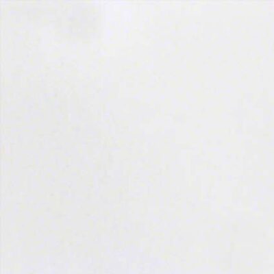 Elegant White